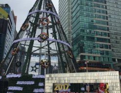 크리스마스 트리