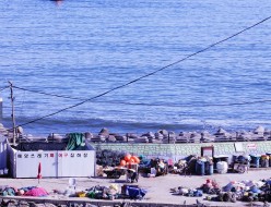 ♤ 삼 삼 오 오 펜 션 ♤